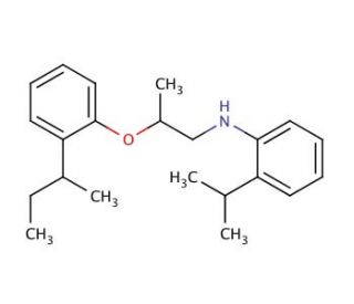 N-{2-[2-(sec-Butyl)phenoxy]propyl}-2-isopropylaniline | CAS 1040682-28 ...