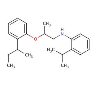 N-{2-[2-(sec-Butyl)phenoxy]propyl}-2-isopropylaniline (CAS 1040682-28-7) - chemical structure image