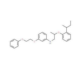 N-{2-[2-(sec-Butyl)phenoxy]propyl}-3-(2-phenoxyethoxy)aniline - chemical structure image