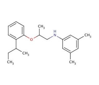 N-{2-[2-(sec-Butyl)phenoxy]propyl}-3,5-dimethylaniline - chemical structure image