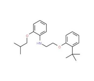 N-{2-[2-(tert-Butyl)phenoxy]ethyl}-2-isobutoxyaniline - chemical structure image