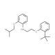 N-{2-[2-(tert-Butyl)phenoxy]ethyl}-2-isobutoxyaniline - chemical structure image