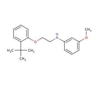N-{2-[2-(tert-Butyl)phenoxy]ethyl}-3-methoxyaniline - chemical structure image