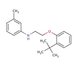 N-{2-[2-(tert-Butyl)phenoxy]ethyl}-3-methylaniline - chemical structure image