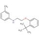 N-{2-[2-(tert-Butyl)phenoxy]ethyl}-3-methylaniline - chemical structure image