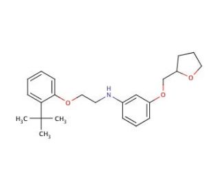 N-{2-[2-(tert-Butyl)phenoxy]ethyl}-3-(tetrahydro-2-furanylmethoxy)aniline - chemical structure image