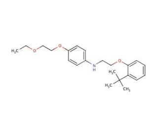 N-{2-[2-(tert-Butyl)phenoxy]ethyl}-4-(2-ethoxyethoxy)aniline - chemical structure image
