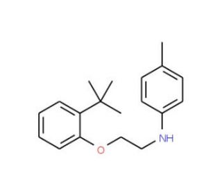 N-{2-[2-(tert-Butyl)phenoxy]ethyl}-4-methylaniline - chemical structure image