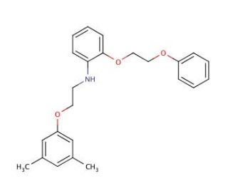 N-[2-(3,5-Dimethylphenoxy)ethyl]-2-(2-phenoxyethoxy)aniline - chemical structure image