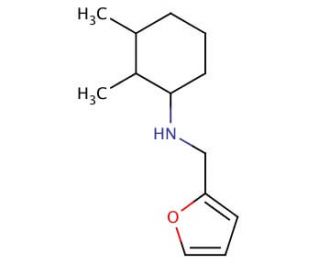 N-(2,3-Dimethylcyclohexyl)-N-(2-furylmethyl)amine - chemical structure image