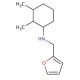 N-(2,3-Dimethylcyclohexyl)-N-(2-furylmethyl)amine - chemical structure image
