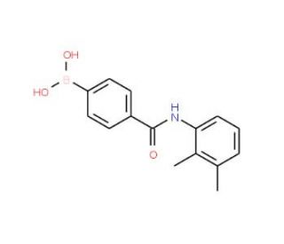 N-(2,3-Dimethylphenyl) 4-boronobenzamide (CAS 913835-36-6) - chemical structure image