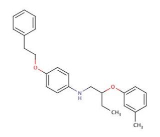 N-[2-(3-Methylphenoxy)butyl]-4-(phenethyloxy)-aniline (CAS 1040694-18-5) - chemical structure image