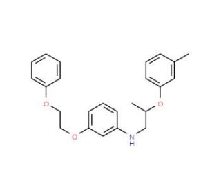 N-[2-(3-Methylphenoxy)propyl]-3-(2-phenoxyethoxy)aniline (CAS 1040686-29-0) - chemical structure image