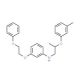N-[2-(3-Methylphenoxy)propyl]-3-(2-phenoxyethoxy)aniline (CAS 1040686-29-0) - chemical structure image