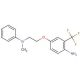 N-{2-[4-Amino-3-(trifluoromethyl)phenoxy]ethyl}-N-methyl-N-phenylamine - chemical structure image