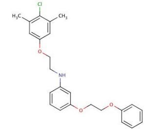 N-[2-(4-Chloro-3,5-dimethylphenoxy)ethyl]-3-(2-phenoxyethoxy)aniline - chemical structure image