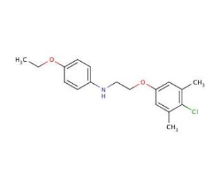 N-[2-(4-Chloro-3,5-dimethylphenoxy)ethyl]-4-ethoxyaniline - chemical structure image