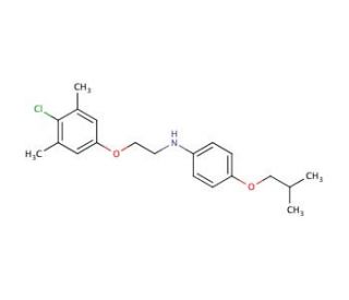 N-[2-(4-Chloro-3,5-dimethylphenoxy)ethyl]-4-isobutoxyaniline - chemical structure image