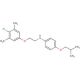 N-[2-(4-Chloro-3,5-dimethylphenoxy)ethyl]-4-isobutoxyaniline - chemical structure image