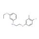 N-[2-(4-Chloro-3-methylphenoxy)ethyl]-3-ethoxyaniline - chemical structure image