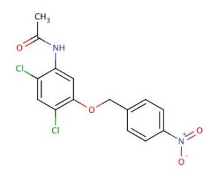 N-{2,4-Dichloro-5-[(4-nitrobenzyl)oxy]-phenyl}acetamide - chemical structure image