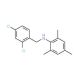 N-(2,4-Dichlorobenzyl)-2,4,6-trimethylaniline - chemical structure image