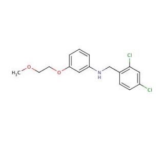 N-(2,4-Dichlorobenzyl)-3-(2-methoxyethoxy)aniline - chemical structure image