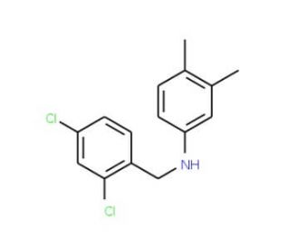 N-(2,4-Dichlorobenzyl)-3,4-dimethylaniline - chemical structure image