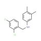 N-(2,4-Dichlorobenzyl)-3,4-dimethylaniline - chemical structure image