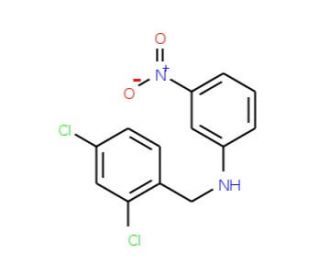 N-(2,4-Dichlorobenzyl)-N-(3-nitrophenyl)amine - chemical structure image