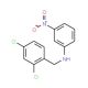 N-(2,4-Dichlorobenzyl)-N-(3-nitrophenyl)amine - chemical structure image