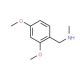 N-(2,4-dimethoxybenzyl)-N-methylamine (CAS 102503-23-1) - chemical structure image