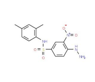 N-(2,4-Dimethyl-phenyl)-4-hydrazino-3-nitro-benzenesulfonamide - chemical structure image