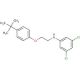 N-{2-[4-(tert-Butyl)phenoxy]ethyl}-3,5-dichloroaniline - chemical structure image