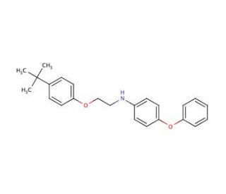 N-{2-[4-(tert-Butyl)phenoxy]ethyl}-4-phenoxyaniline - chemical structure image
