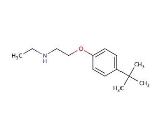 N-{2-[4-(tert-Butyl)phenoxy]ethyl}-N-ethylamine - chemical structure image