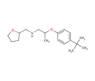 N-{2-[4-(tert-Butyl)phenoxy]propyl}-N-(tetrahydro-2-furanylmethyl)amine - chemical structure image