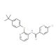 N-{2-[4-(tert-Butyl)phenoxy]pyridin-3-yl}-6-chloronicotinamide - chemical structure image