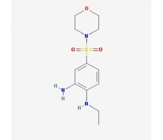 N-[2-amino-4-(morpholin-4-ylsulfonyl)phenyl]-N-ethylamine (CAS 727694-66-8) - chemical structure image