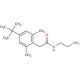 N-(2-Aminoethyl)-4-(1,1-dimethylethyl)-2,6-dimethylbenzeneacetamide - chemical structure image