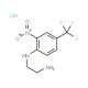 N-(2-aminoethyl)-N-[2-nitro-4-(trifluoromethyl)phenyl]amine hydrochloride - chemical structure image
