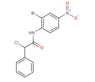 N-(2-Bromo-4-nitro-phenyl)-2-chloro-2-phenyl-acetamide - chemical structure image