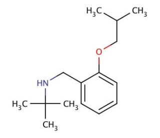 N-(2-Isobutoxybenzyl)-2-methyl-2-propanamine - chemical structure image