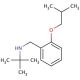 N-(2-Isobutoxybenzyl)-2-methyl-2-propanamine - chemical structure image