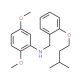 N-[2-(Isopentyloxy)benzyl]-2,5-dimethoxyaniline - chemical structure image