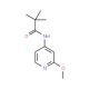 N-(2-Methoxy-pyridin-4-yl)-2,2-dimethyl-propionamide (CAS 898561-71-2) - chemical structure image