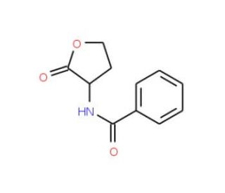 N-(2-Oxotetrahydrofuran-3-yl)benzamide (CAS 51685-54-2) - chemical structure image