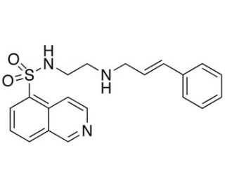 N-[2-(p-Cinnamylamino)ethyl]-5-isoquinolone Sulfonamide (CAS 130964-40-8) - chemical structure image