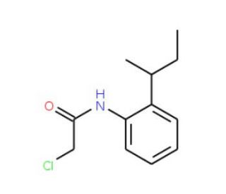 N-(2-sec-Butyl-phenyl)-2-chloro-acetamide | SCBT - Santa Cruz Biotechnology